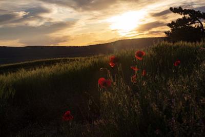 Прикрепленное изображение: IMG_8303.jpg